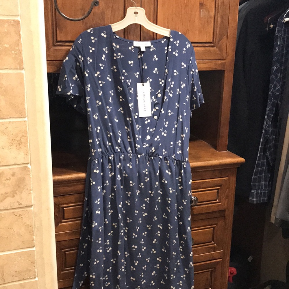 Amour Vert Dress size M (New with tags)